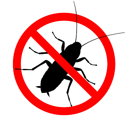 cockroach roach prevention